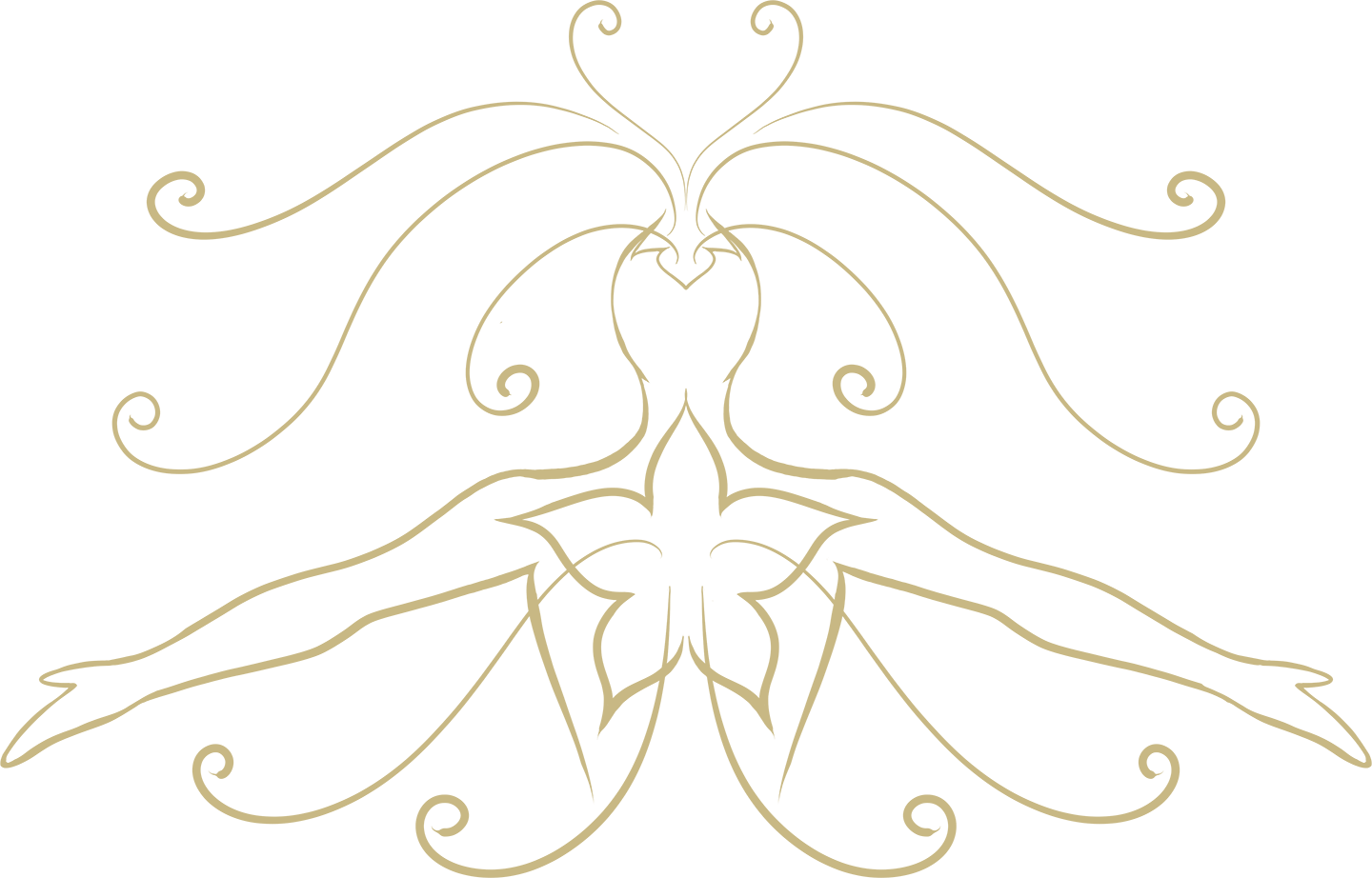 Manas festival - Tudástár